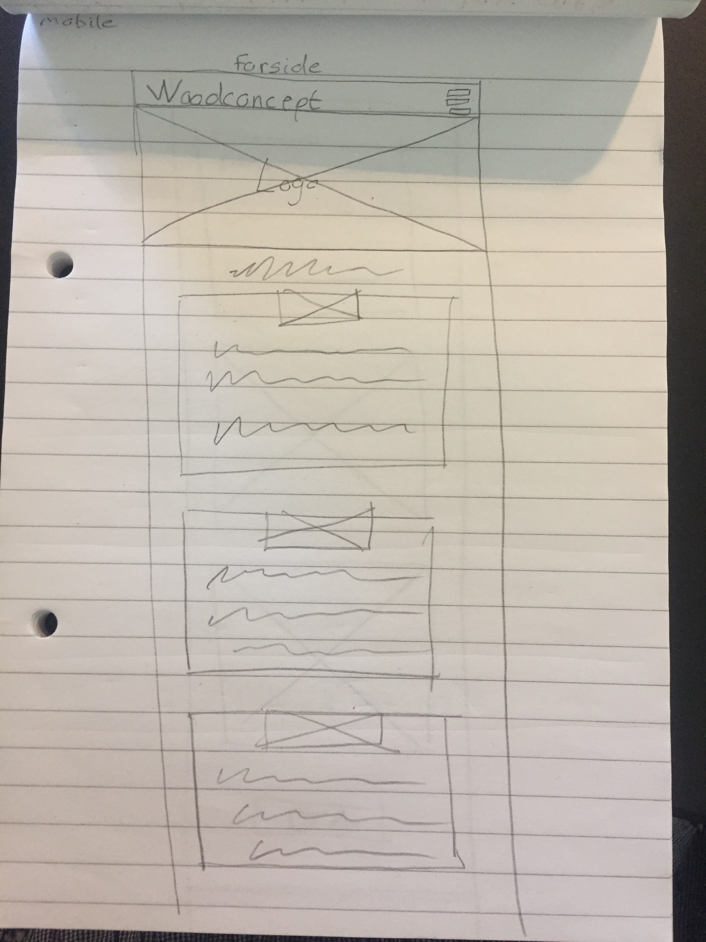 wireframe