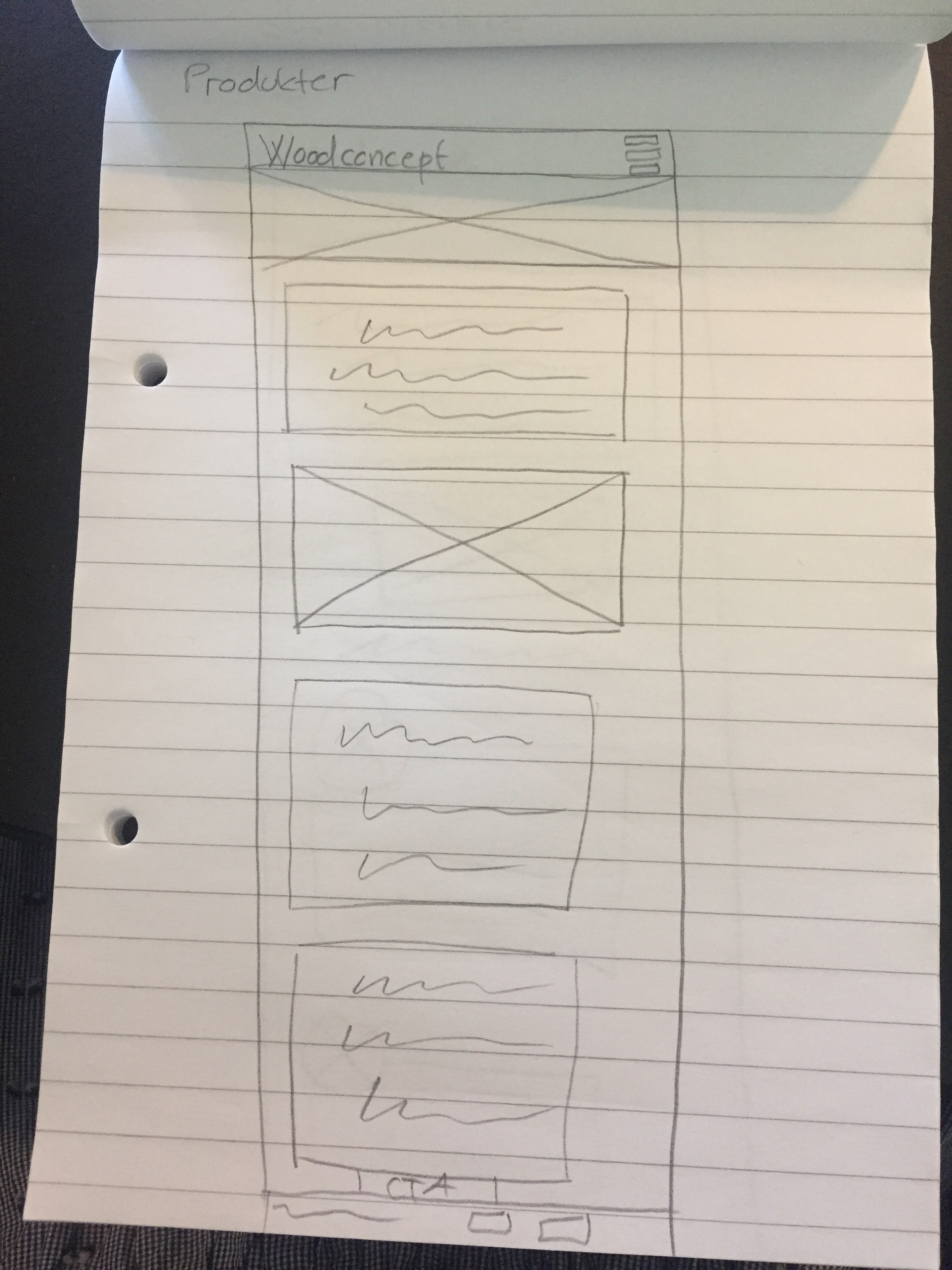 wireframe