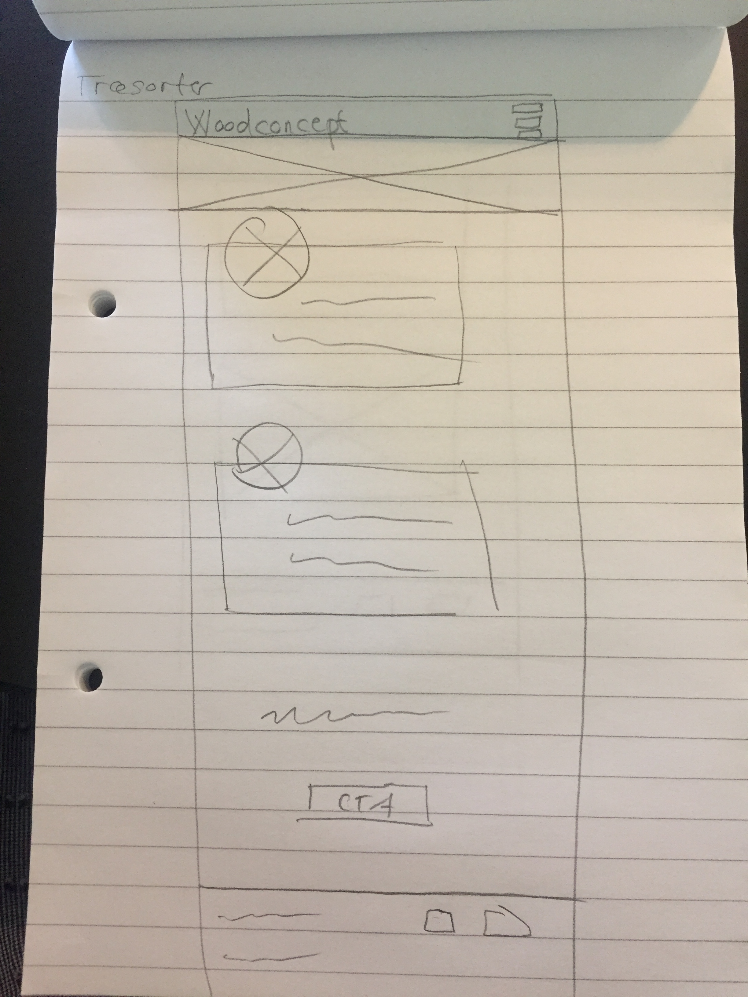 wireframe