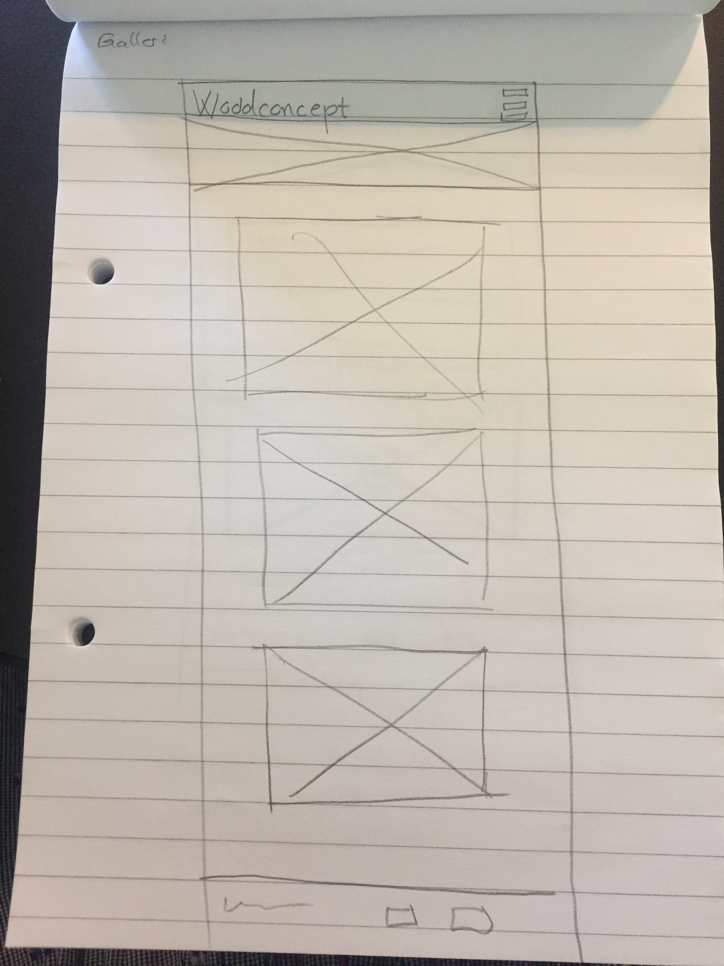 wireframe