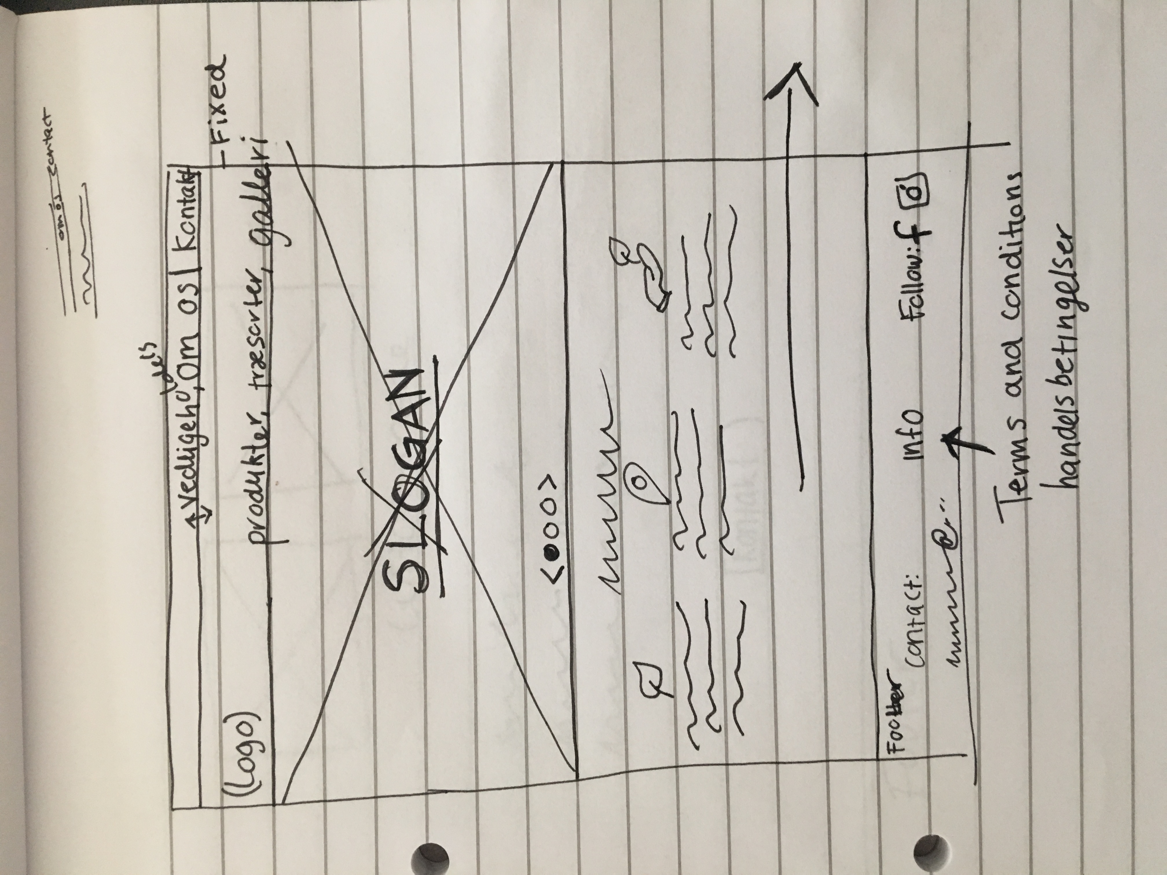 wireframe
