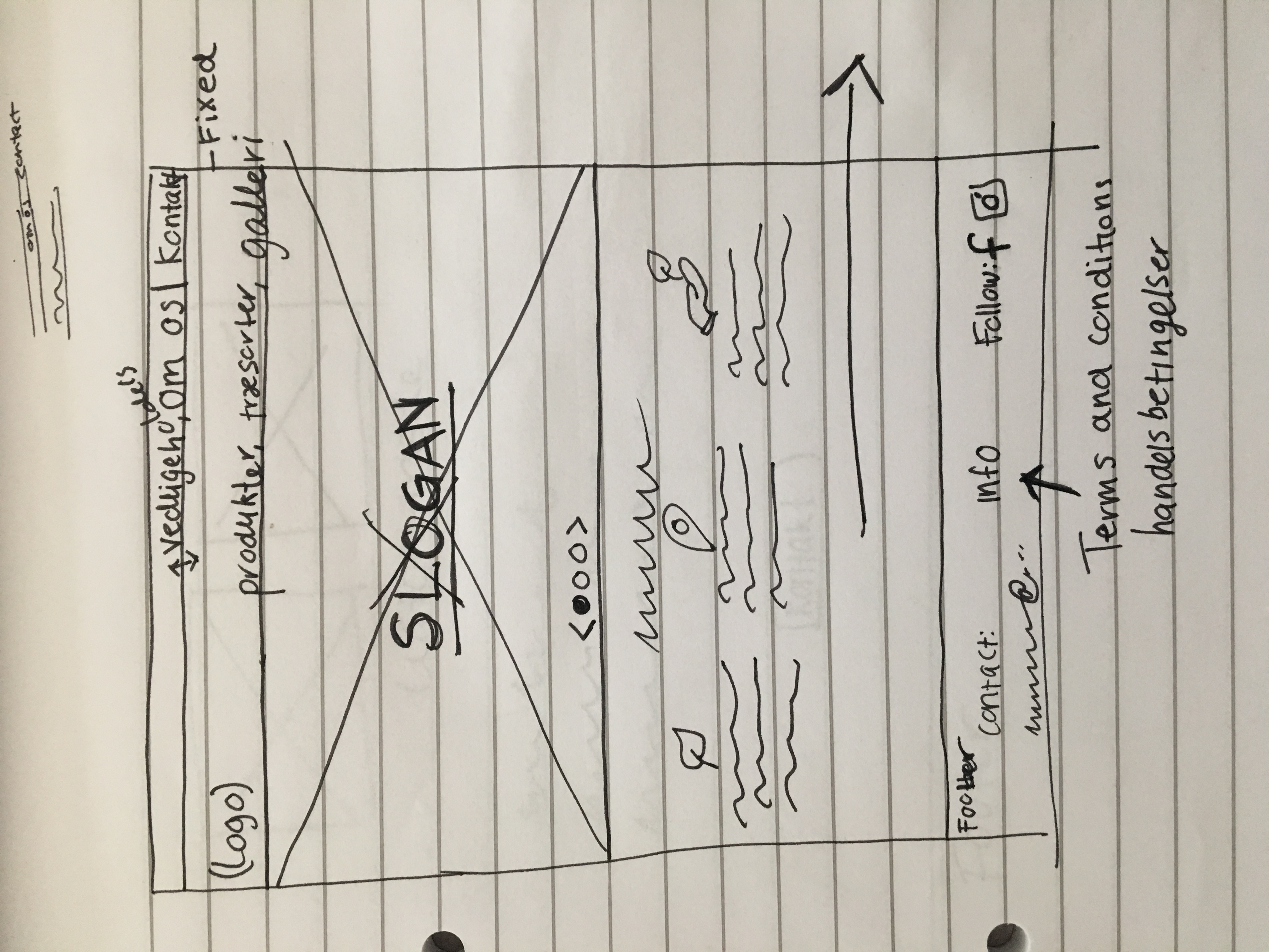 wireframe