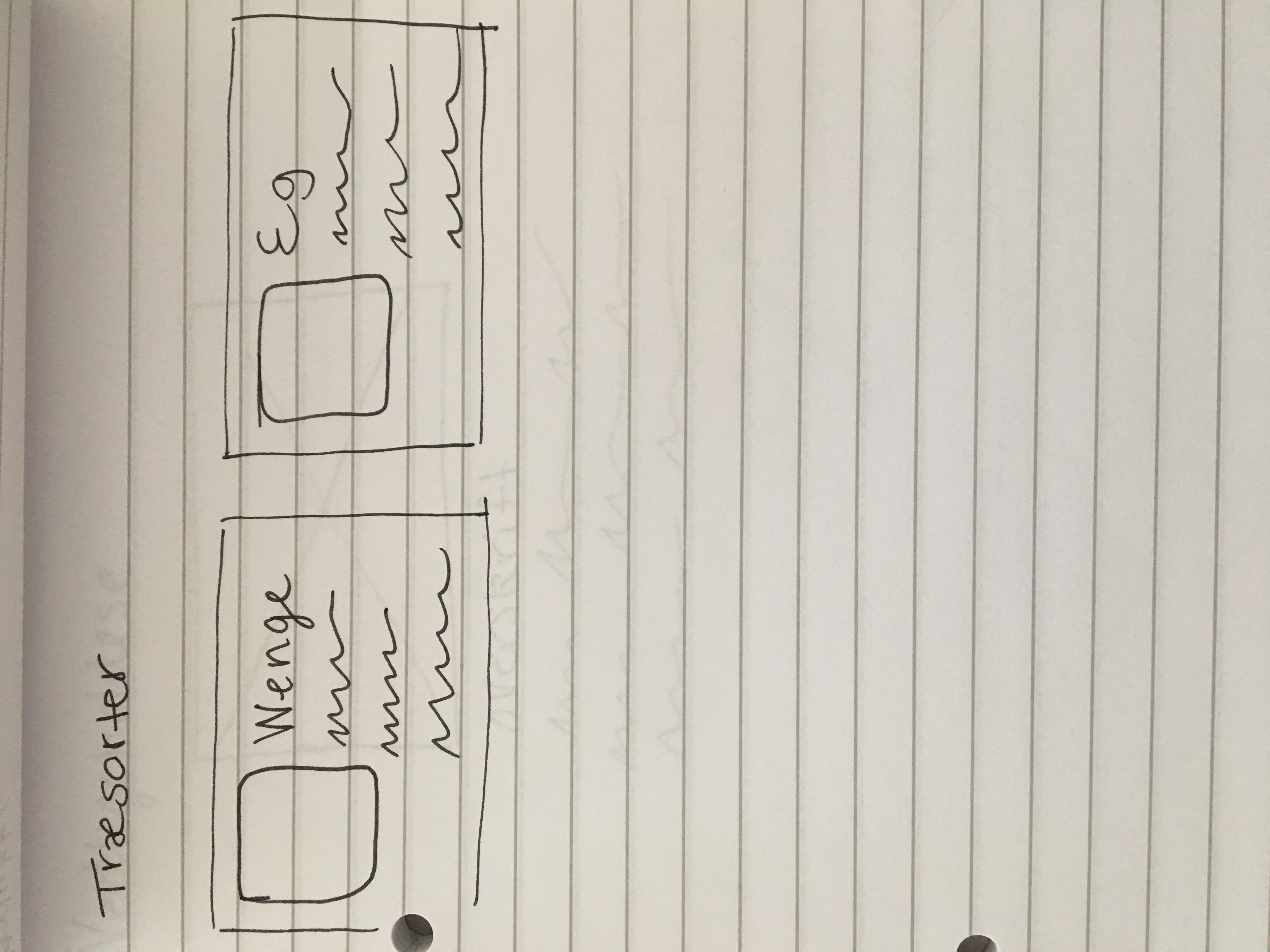 wireframe